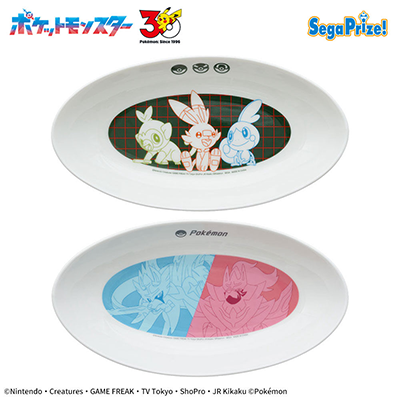 ポケットモンスター　　PtZ　カレー皿～ガラル地方～画像
